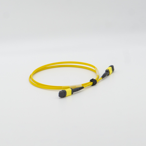 一秒尋線(xiàn)12芯 MPO-PC-MPO-PC(OS2)主干光纜（母頭-母頭）-1