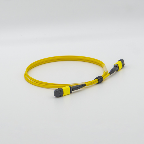 一秒尋線(xiàn)12芯 MPO-PC-MPO-PC(OS2)主干光纜（母頭-母頭）-2